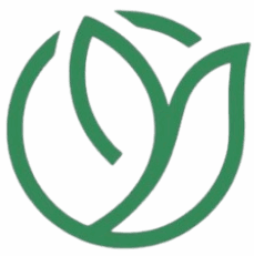 Cropped cropped 1a1f4b87 5e72 4f9c 85a2 d1101b261a64 removebg preview.png