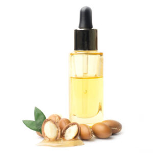 Argan seeds isolated on a white background. argan oil and argan nuts concept